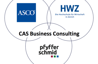 Neu: CAS Business Consulting